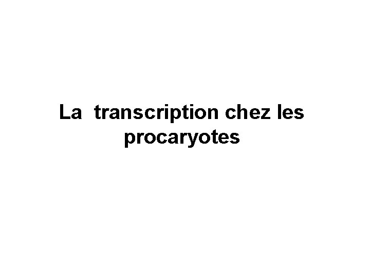 La transcription chez les procaryotes 