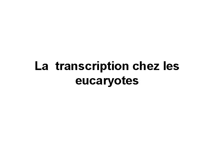 La transcription chez les eucaryotes 