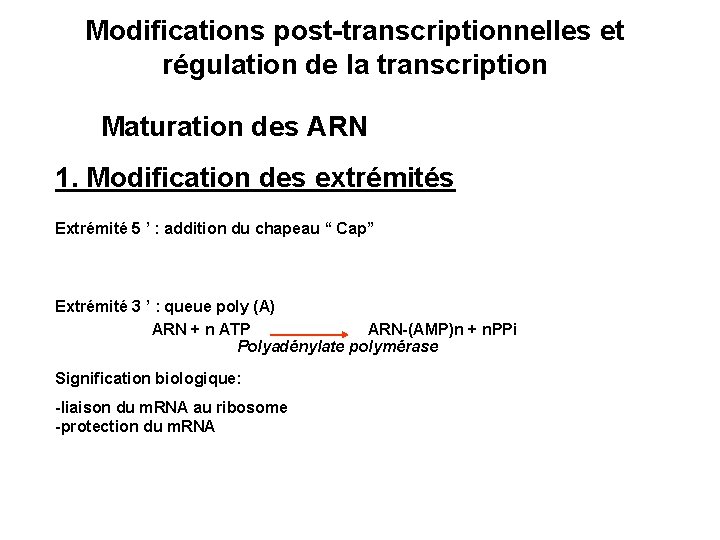 Modifications post-transcriptionnelles et régulation de la transcription Maturation des ARN 1. Modification des extrémités