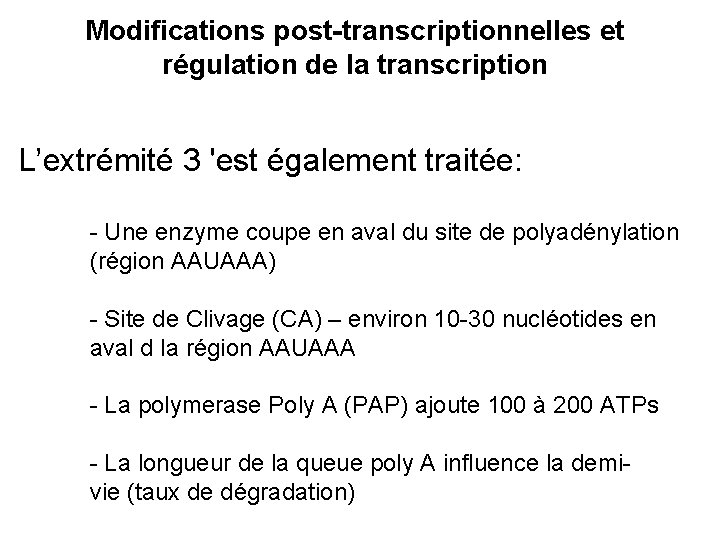 Modifications post-transcriptionnelles et régulation de la transcription L’extrémité 3 'est également traitée: - Une