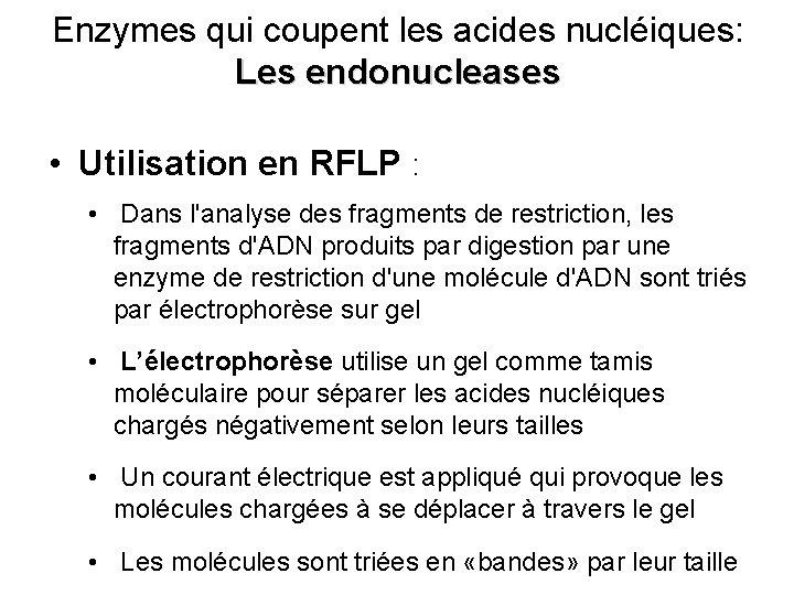 Enzymes qui coupent les acides nucléiques: Les endonucleases • Utilisation en RFLP : •