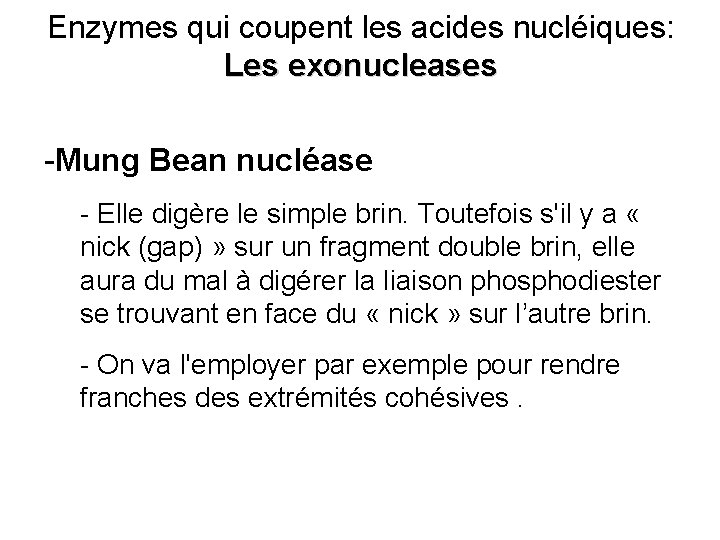 Enzymes qui coupent les acides nucléiques: Les exonucleases -Mung Bean nucléase - Elle digère