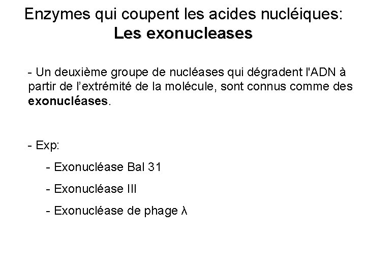 Enzymes qui coupent les acides nucléiques: Les exonucleases - Un deuxième groupe de nucléases