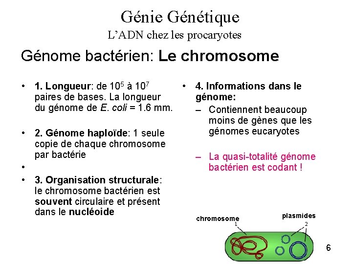 Génie Génétique L’ADN chez les procaryotes Génome bactérien: Le chromosome • 1. Longueur: de