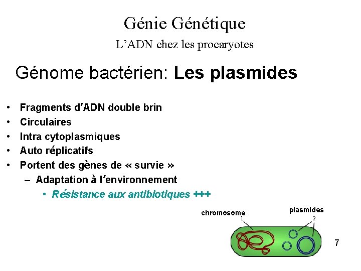 Génie Génétique L’ADN chez les procaryotes Génome bactérien: Les plasmides • • • Fragments