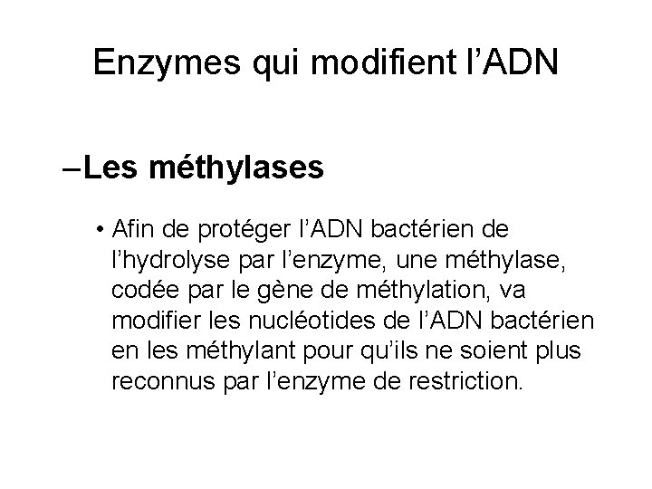 Enzymes qui modifient l’ADN – Les méthylases • Afin de protéger l’ADN bactérien de