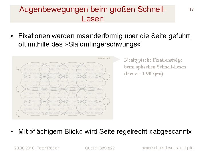 Augenbewegungen beim großen Schnell. Lesen 17 • Fixationen werden mäanderförmig über die Seite geführt,