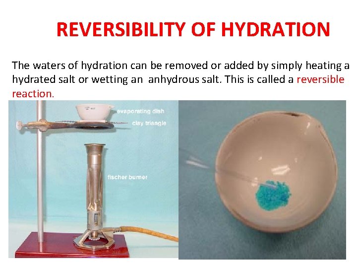 REVERSIBILITY OF HYDRATION The waters of hydration can be removed or added by simply