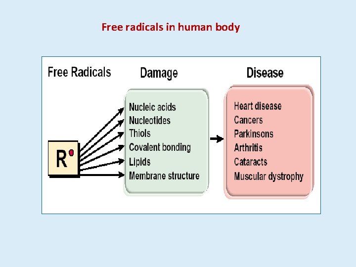 Free radicals in human body 