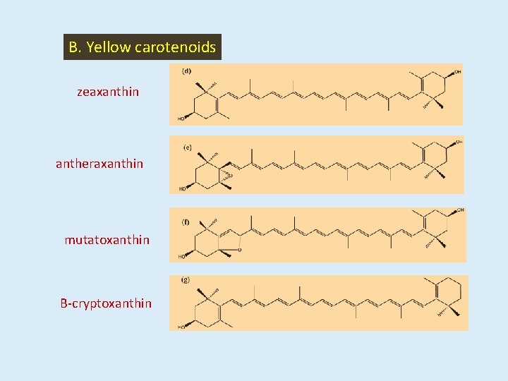 B. Yellow carotenoids zeaxanthin antheraxanthin mutatoxanthin Β-cryptoxanthin 