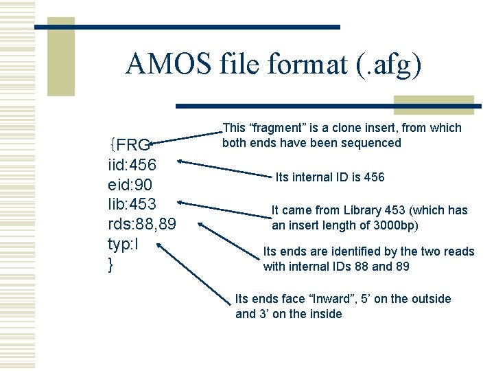 AMOS file format (. afg) {FRG iid: 456 eid: 90 lib: 453 rds: 88,