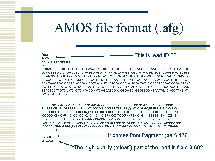 AMOS file format (. afg) This is read ID 88 {RED iid: 88 eid: