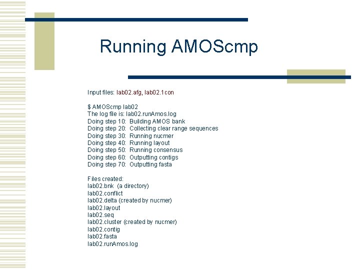 Running AMOScmp Input files: lab 02. afg, lab 02. 1 con $ AMOScmp lab