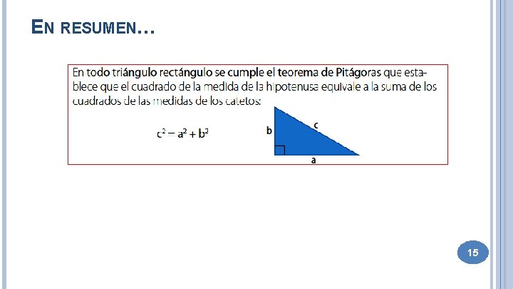 EN RESUMEN… 15 