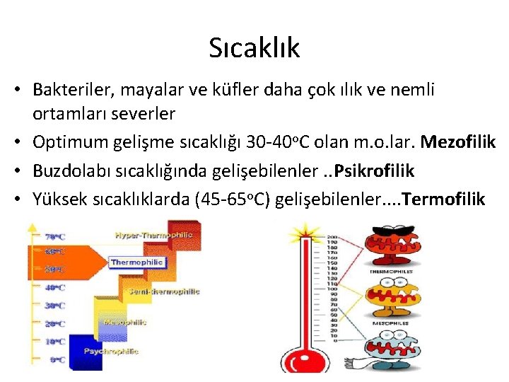 Sıcaklık • Bakteriler, mayalar ve küfler daha çok ılık ve nemli ortamları severler •