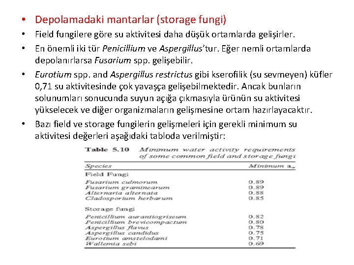  • Depolamadaki mantarlar (storage fungi) • Field fungilere göre su aktivitesi daha düşük