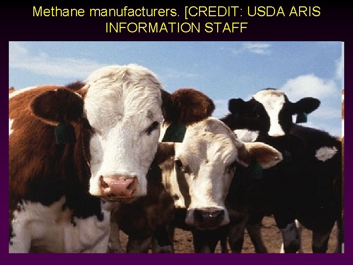 Methane manufacturers. [CREDIT: USDA ARIS INFORMATION STAFF 