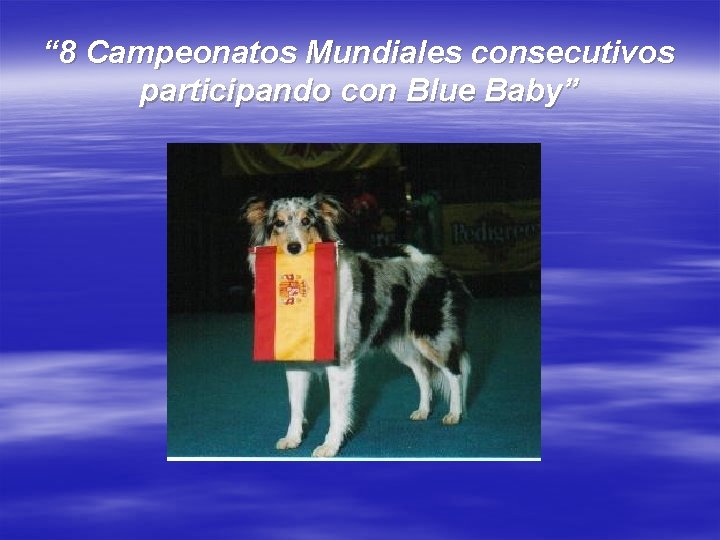 “ 8 Campeonatos Mundiales consecutivos participando con Blue Baby” 