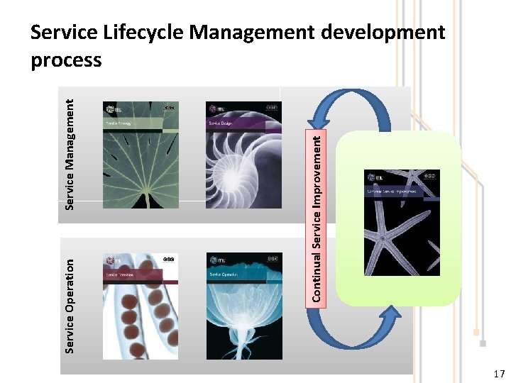 Service Management Continual Service Improvement Service Operation Service Lifecycle Management development process 17 