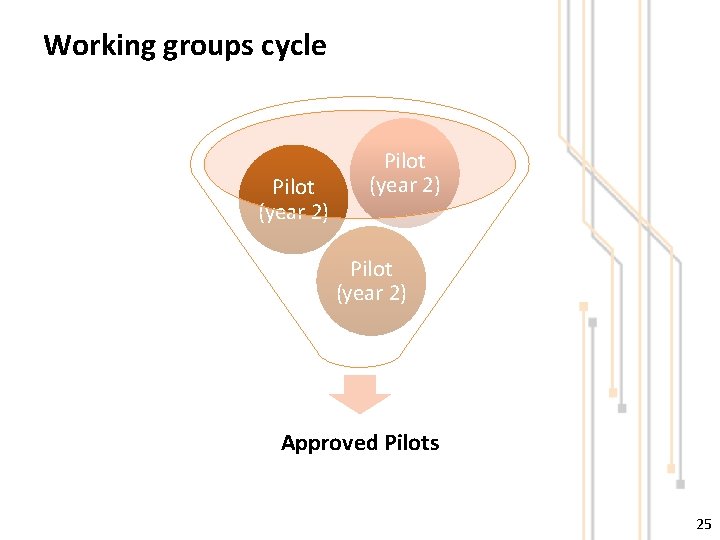 Working groups cycle Pilot (year 2) Approved Pilots 25 