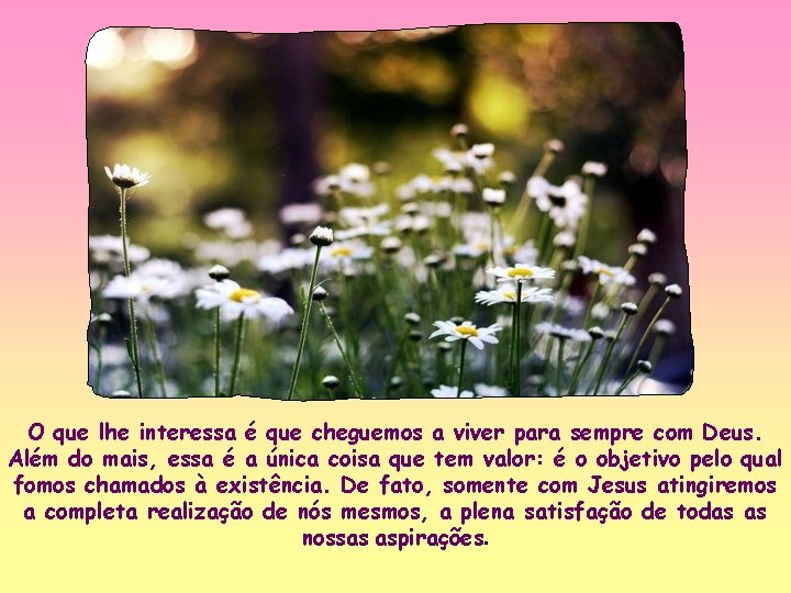O que lhe interessa é que cheguemos a viver para sempre com Deus. Além