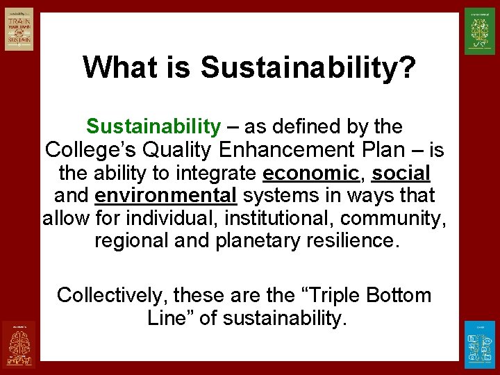 What is Sustainability? Sustainability – as defined by the College’s Quality Enhancement Plan –