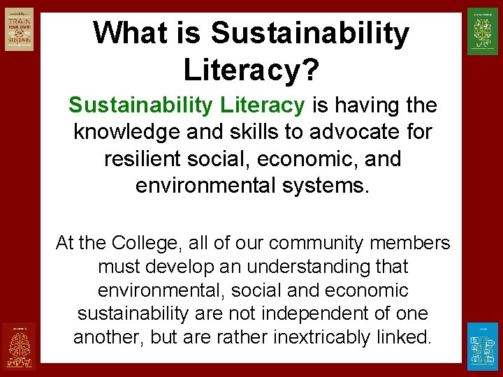 What is Sustainability Literacy? Sustainability Literacy is having the knowledge and skills to advocate