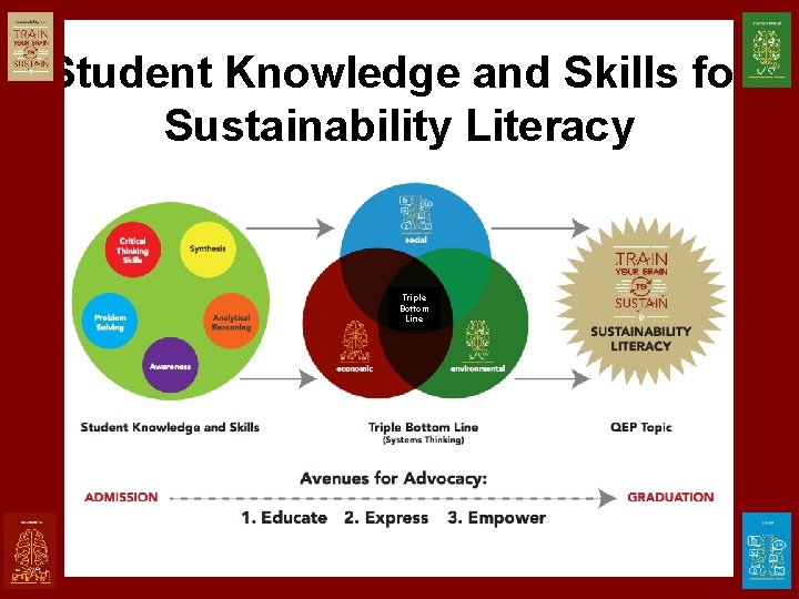 Student Knowledge and Skills for Sustainability Literacy Triple Bottom Line 