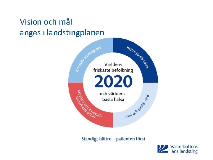 Vision och mål anges i landstingplanen 