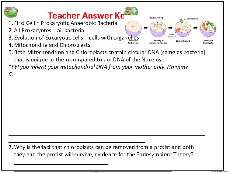 Teacher Answer Key 1. First Cell = Prokaryotic Anaerobic Bacteria 2. All Prokaryotes =