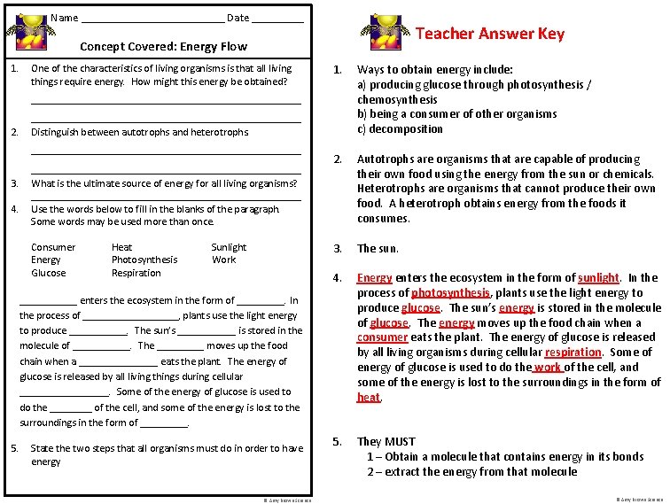 Name _____________ Date _____ Teacher Answer Key Concept Covered: Energy Flow 1. One of
