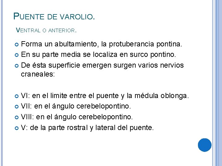 PUENTE DE VAROLIO. VENTRAL O ANTERIOR. Forma un abultamiento, la protuberancia pontina. En su