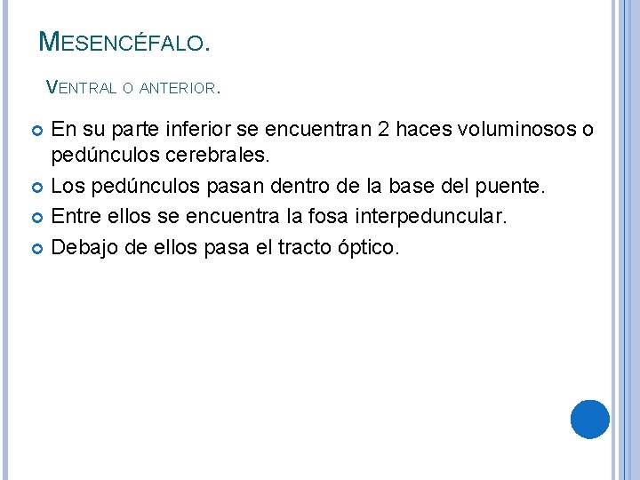 MESENCÉFALO. VENTRAL O ANTERIOR. En su parte inferior se encuentran 2 haces voluminosos o