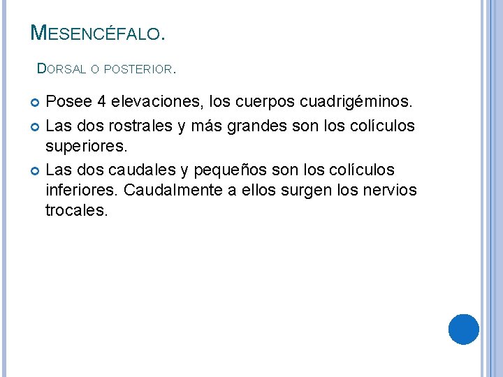 MESENCÉFALO. DORSAL O POSTERIOR. Posee 4 elevaciones, los cuerpos cuadrigéminos. Las dos rostrales y