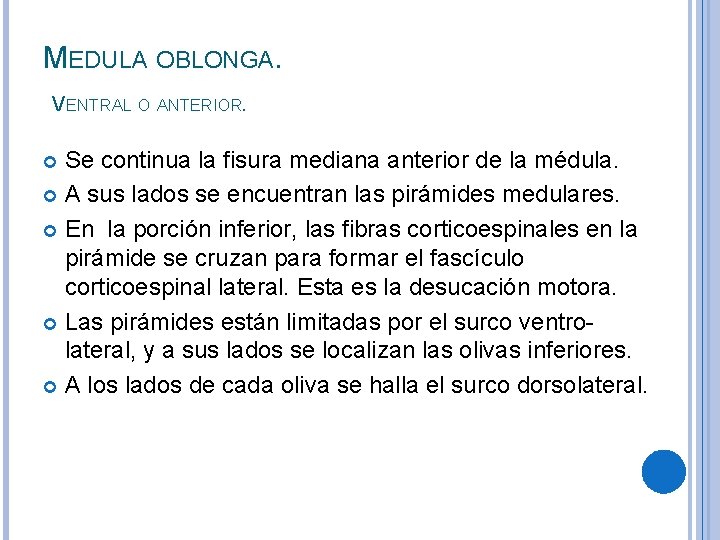 MEDULA OBLONGA. VENTRAL O ANTERIOR. Se continua la fisura mediana anterior de la médula.