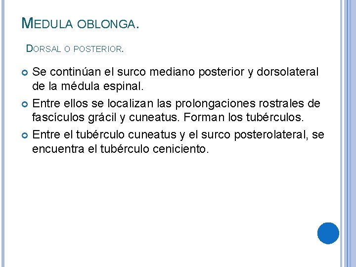 MEDULA OBLONGA. DORSAL O POSTERIOR. Se continúan el surco mediano posterior y dorsolateral de