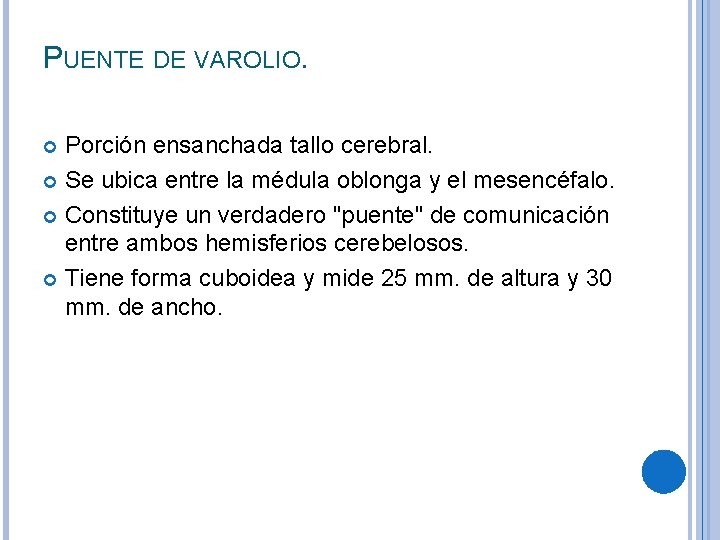 PUENTE DE VAROLIO. Porción ensanchada tallo cerebral. Se ubica entre la médula oblonga y