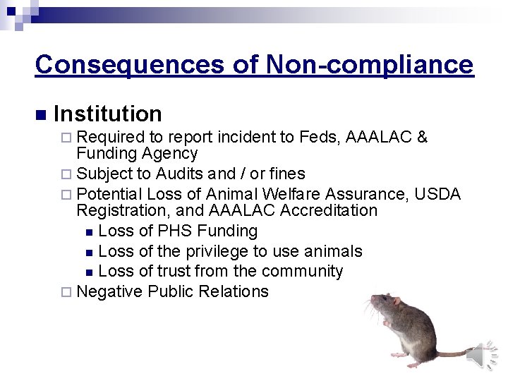 Consequences of Non-compliance n Institution ¨ Required to report incident to Feds, AAALAC &