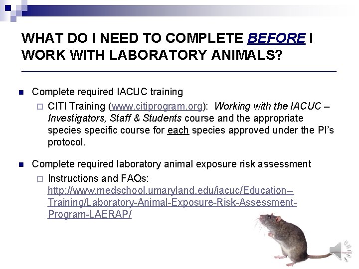 WHAT DO I NEED TO COMPLETE BEFORE I WORK WITH LABORATORY ANIMALS? ____________________________________ n