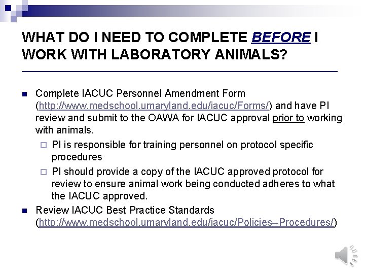 WHAT DO I NEED TO COMPLETE BEFORE I WORK WITH LABORATORY ANIMALS? ___________________________________ n