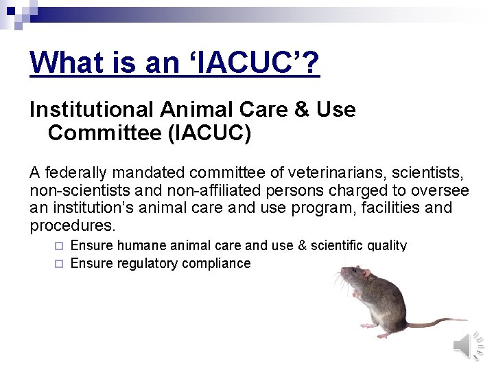 What is an ‘IACUC’? Institutional Animal Care & Use Committee (IACUC) A federally mandated