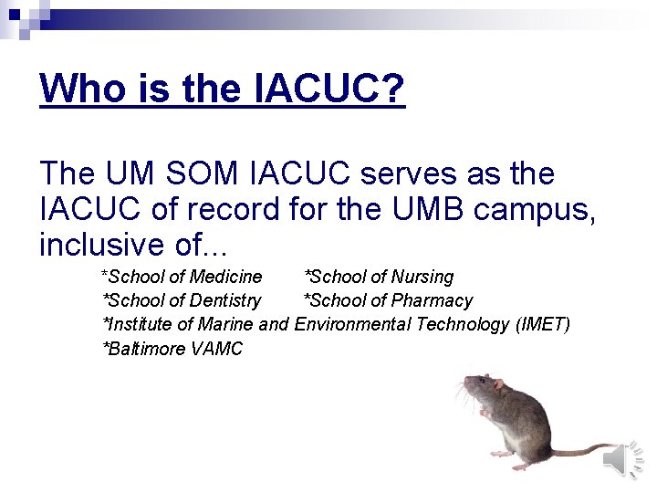 Who is the IACUC? The UM SOM IACUC serves as the IACUC of record