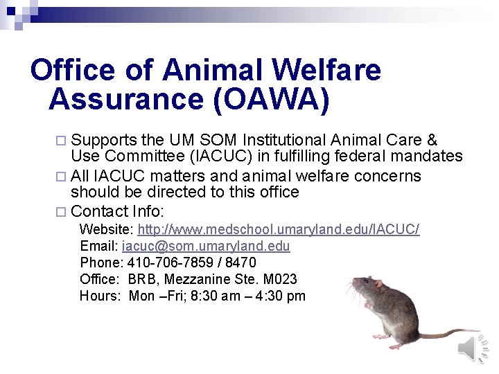 Office of Animal Welfare Assurance (OAWA) ¨ Supports the UM SOM Institutional Animal Care