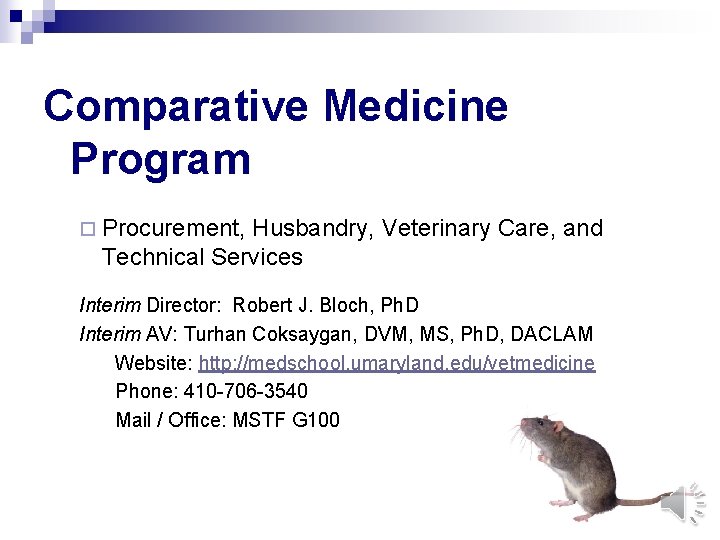 Comparative Medicine Program ¨ Procurement, Husbandry, Veterinary Care, and Technical Services Interim Director: Robert