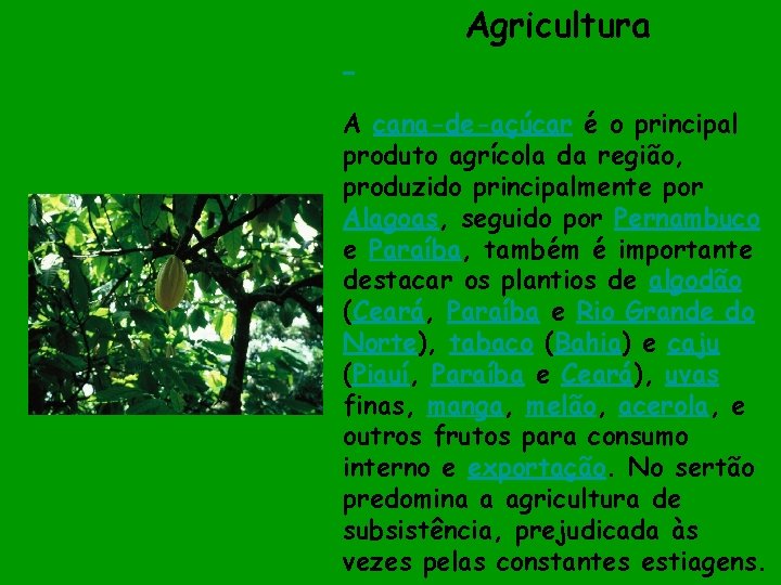 Agricultura A cana-de-açúcar é o principal produto agrícola da região, produzido principalmente por Alagoas,