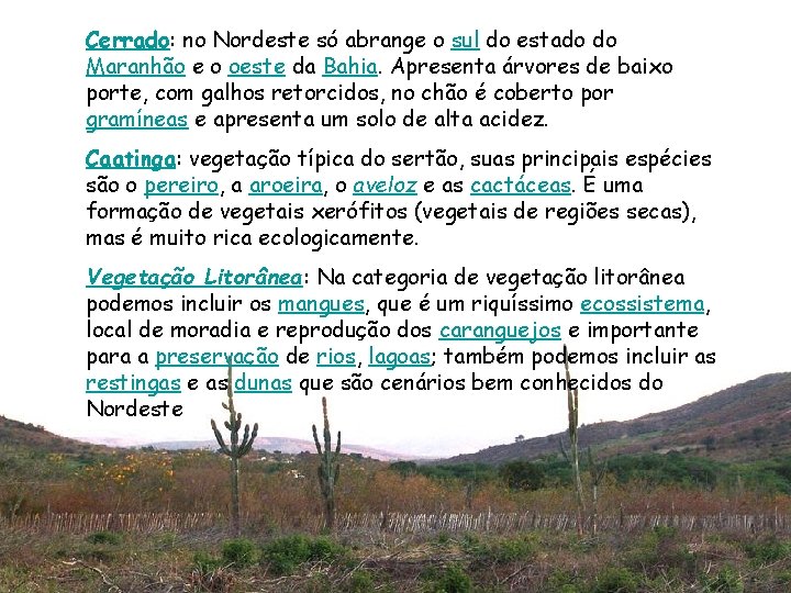 Cerrado: no Nordeste só abrange o sul do estado do Maranhão e o oeste