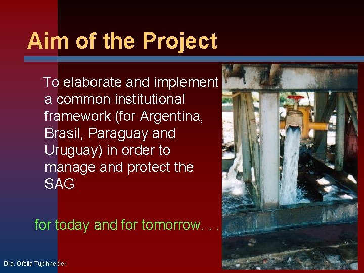 Aim of the Project To elaborate and implement a common institutional framework (for Argentina,