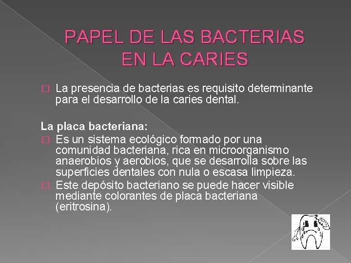 PAPEL DE LAS BACTERIAS EN LA CARIES � La presencia de bacterias es requisito