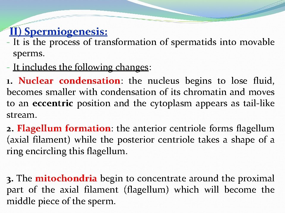 II) Spermiogenesis: - It is the process of transformation of spermatids into movable sperms.