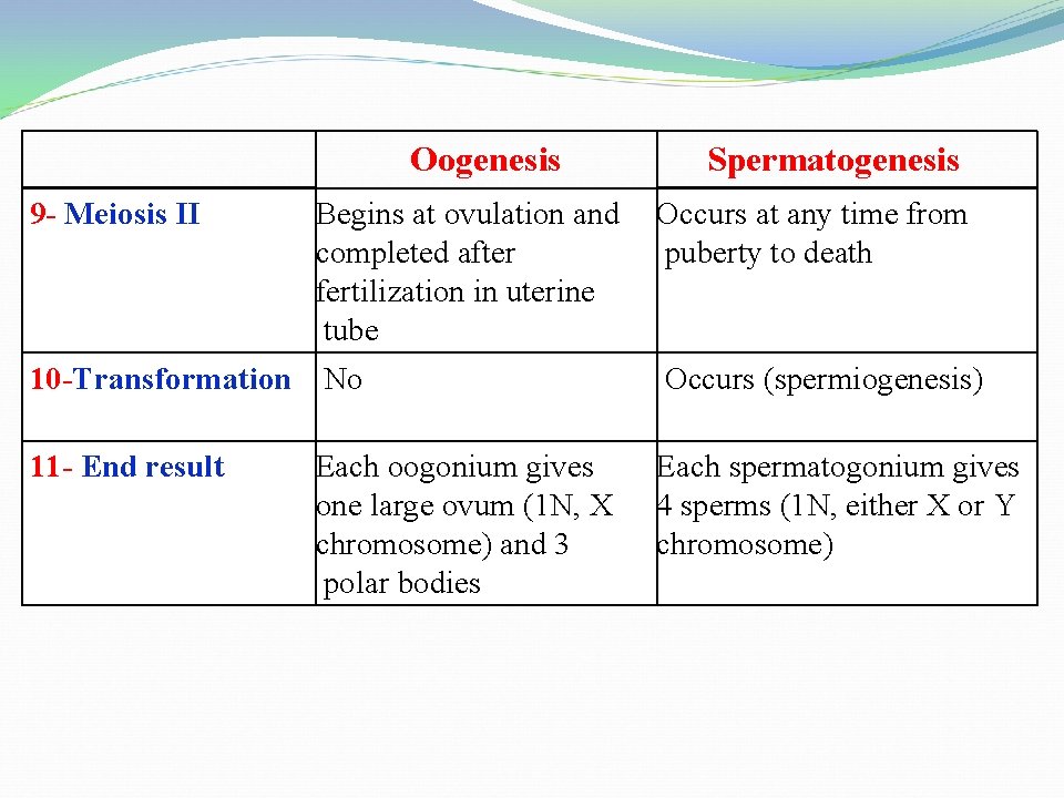 Oogenesis 9 - Meiosis II Begins at ovulation and completed after fertilization in uterine